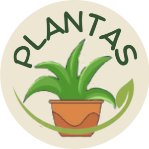 Plantas