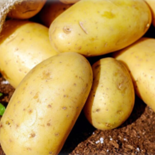 Patatas ecológicas fresas Ecologic to go